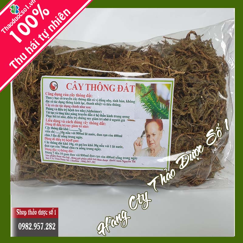 1kg cây thông đất SO1