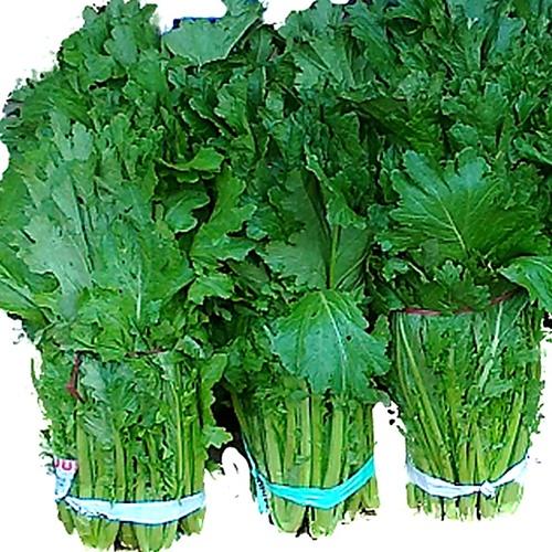 Combo 5 túi hạt giống rau cải mèo f1. mỗi túi 20 gram - kèm khuyến mại