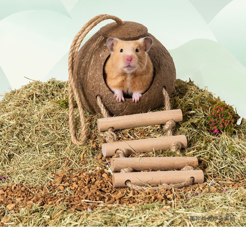 Tổ gáo dừa kèm thang leo cho hamster / sóc / chim/ ...