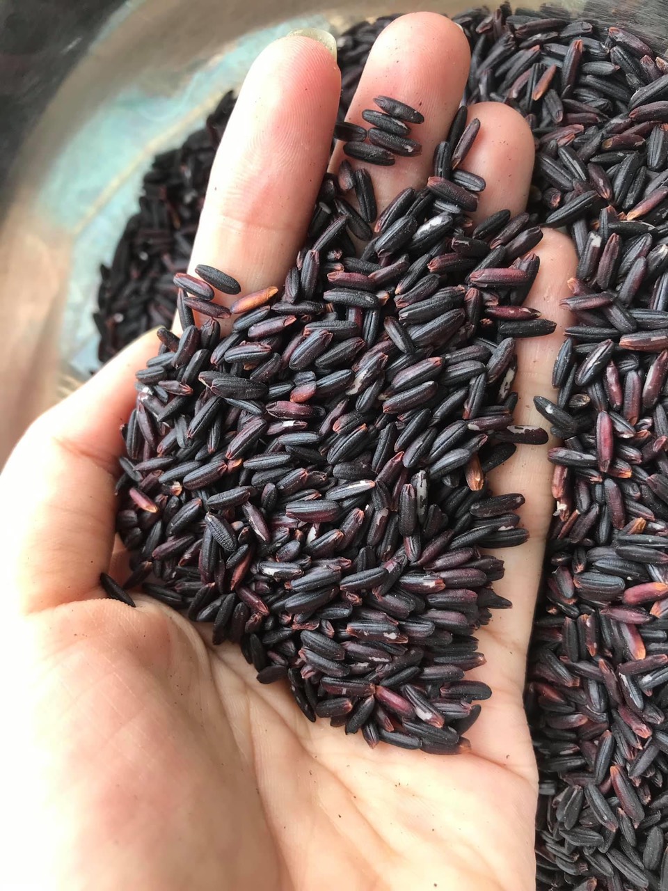 Gạo lứt đen Sóc Trăng thơm ngon chất lượng