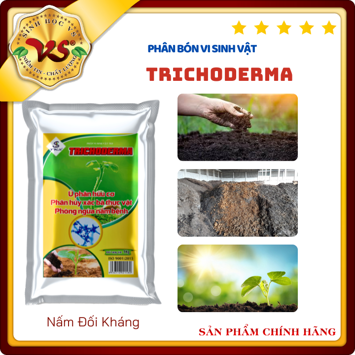 Nấm đối kháng trichoderma - cải tạo đất, phòng trừ nấm bệnh, ủ phân