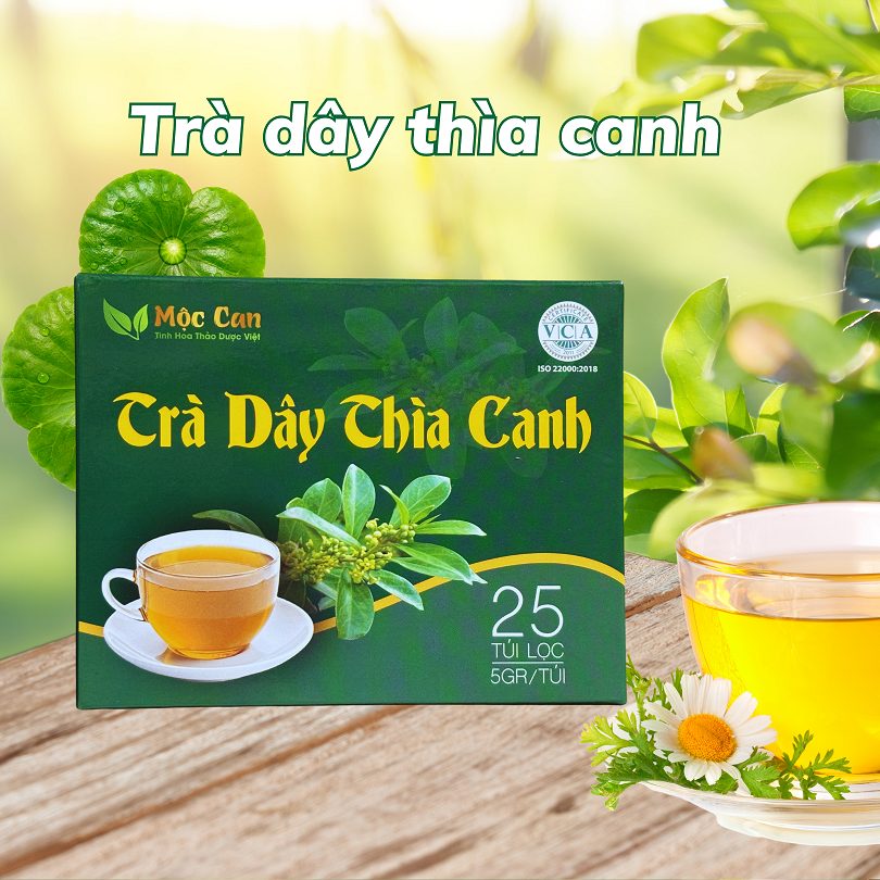  Trà dây thìa canh Mộc Can hộp 25 túi lọc 