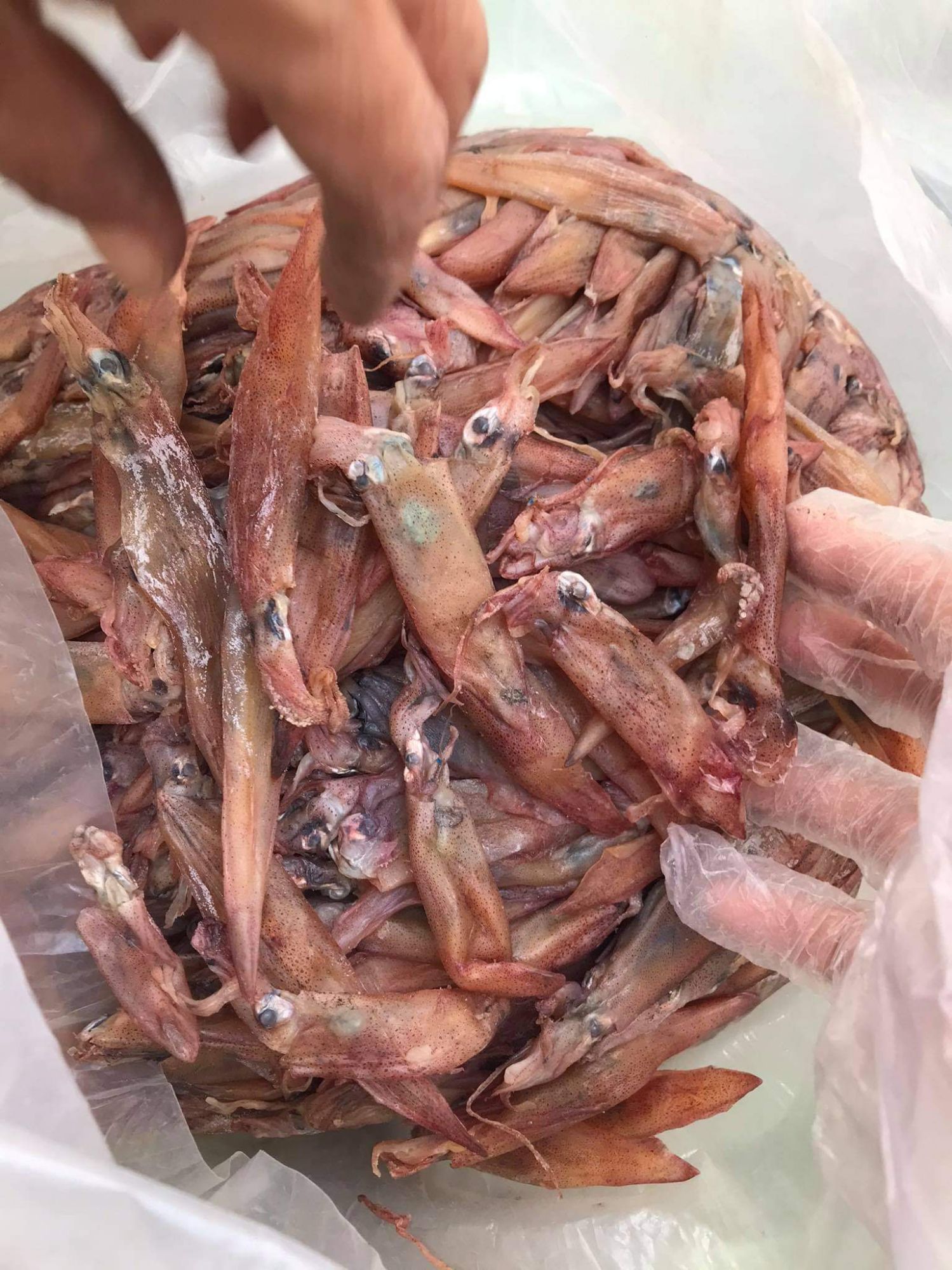 mực chuối khô 2 lạng