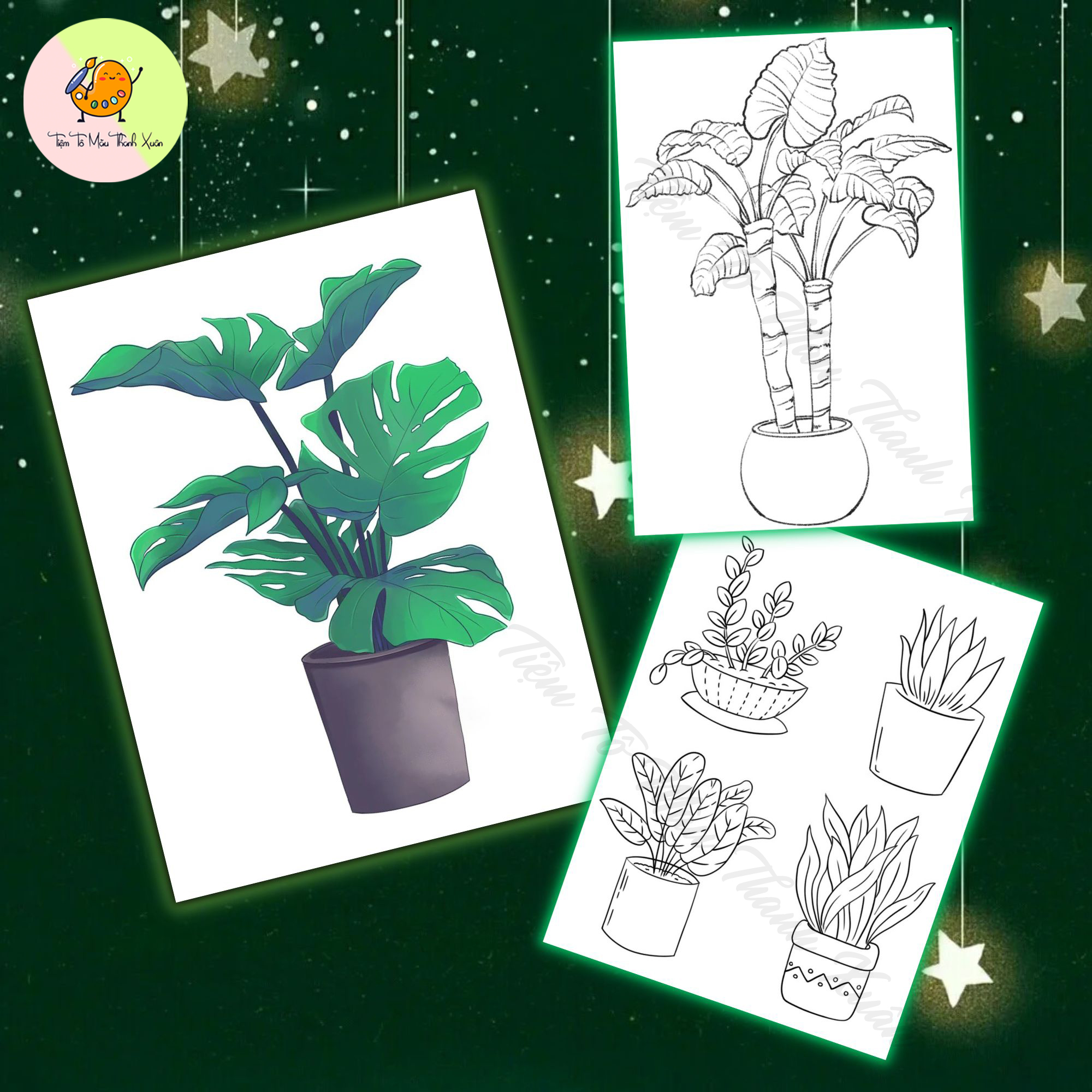 [TX08] Set 10 Tờ Tranh Tô Màu Chậu Cây Kích Thước A5 Dành Cho Màu Sáp, Màu Chì - Tiệm Tô Màu Thanh Xuân