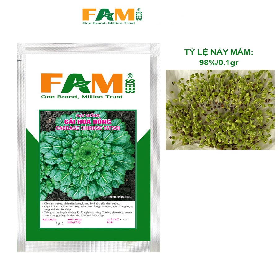 Gói 5gr Hạt Giống Cải Hoa Hồng FAM SEEDS - Nhập khẩu Italy, Hạt nảy mầm đều, Mau lớn, Nhiều dinh dưỡng, Cây có nhiều lá xếp thành hình hoa hồng
