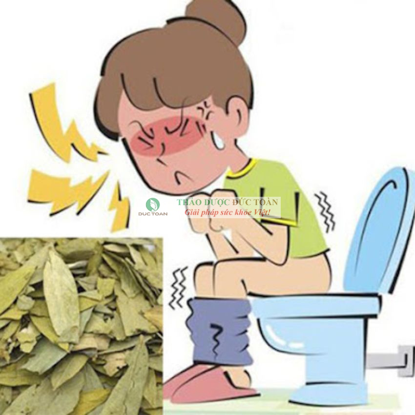 Lá phan tả diệp - khô sạch - chuyên táo bón nhuận tràng, giảm cân - gói 100 gam