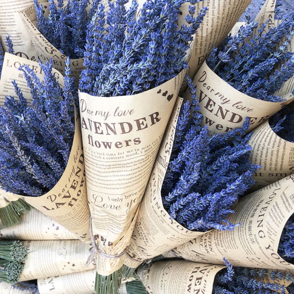 HOA OẢI HƯƠNG KHÔ NHẬP PHÁP KHOẢNG 100 CÀNH, LAVENDER KHÔ THƠM NGÁT, HOA KHÔ BÓ LÀM QUÀ TẶNG, TRANG TRÍ DECOR, THƠM PHÒ