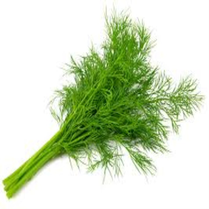 hạt giống  rau thì là gói 5gr mua từ 50k tặng 2 sản phẩm