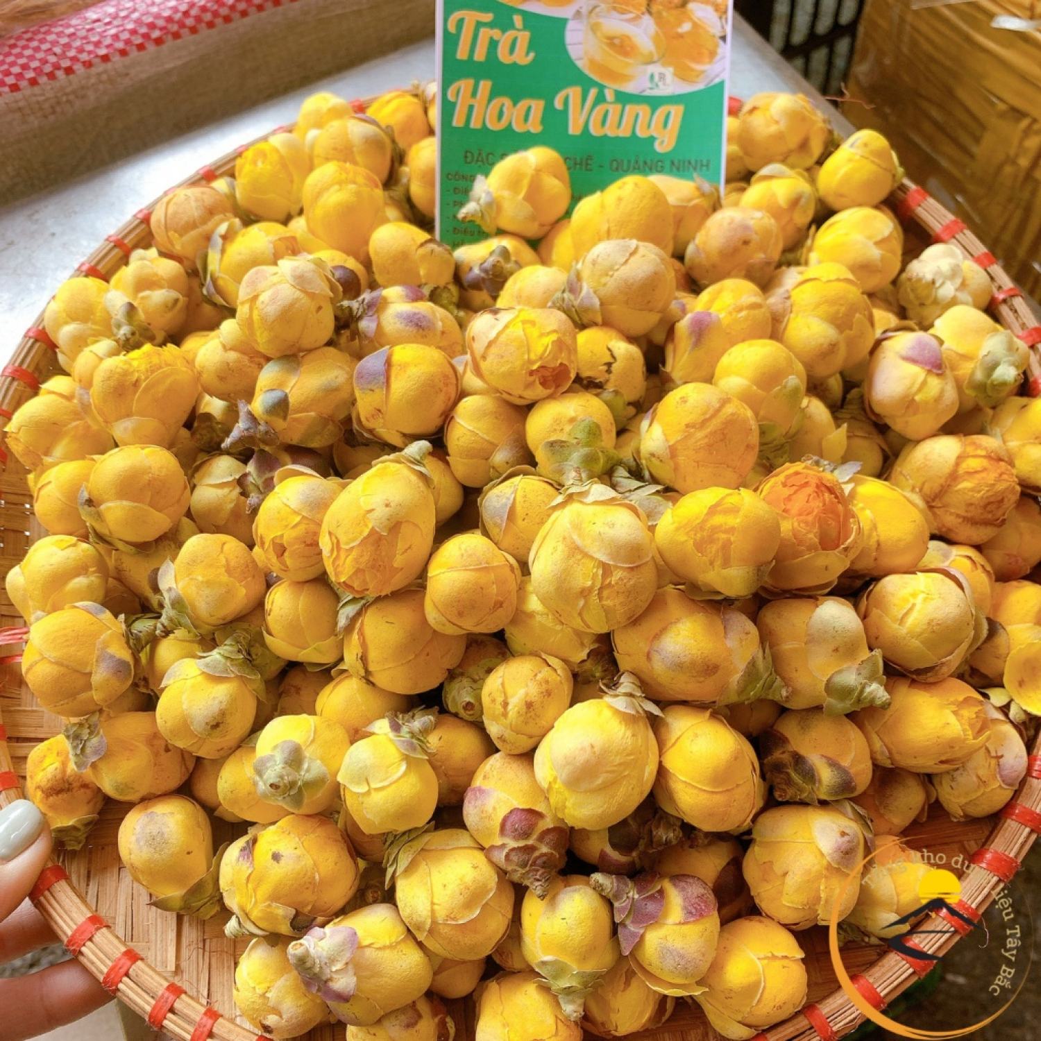 Trà Hoa vàng Ba Chẽ, Quảng Ninh sấy thăng hoa thượng hạng. Đặc sản chè hoa vàng, trà hoa vàng Tam Đảo sấy lạnh