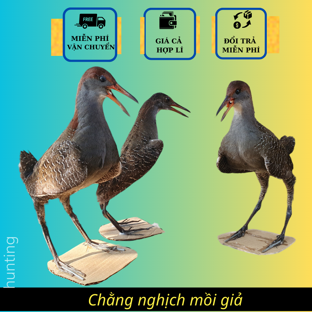 Chim mồi giả, chằng nghịch giả nhồi keo, mẫu mới lông mượt mắt sáng như mồi thật 2023