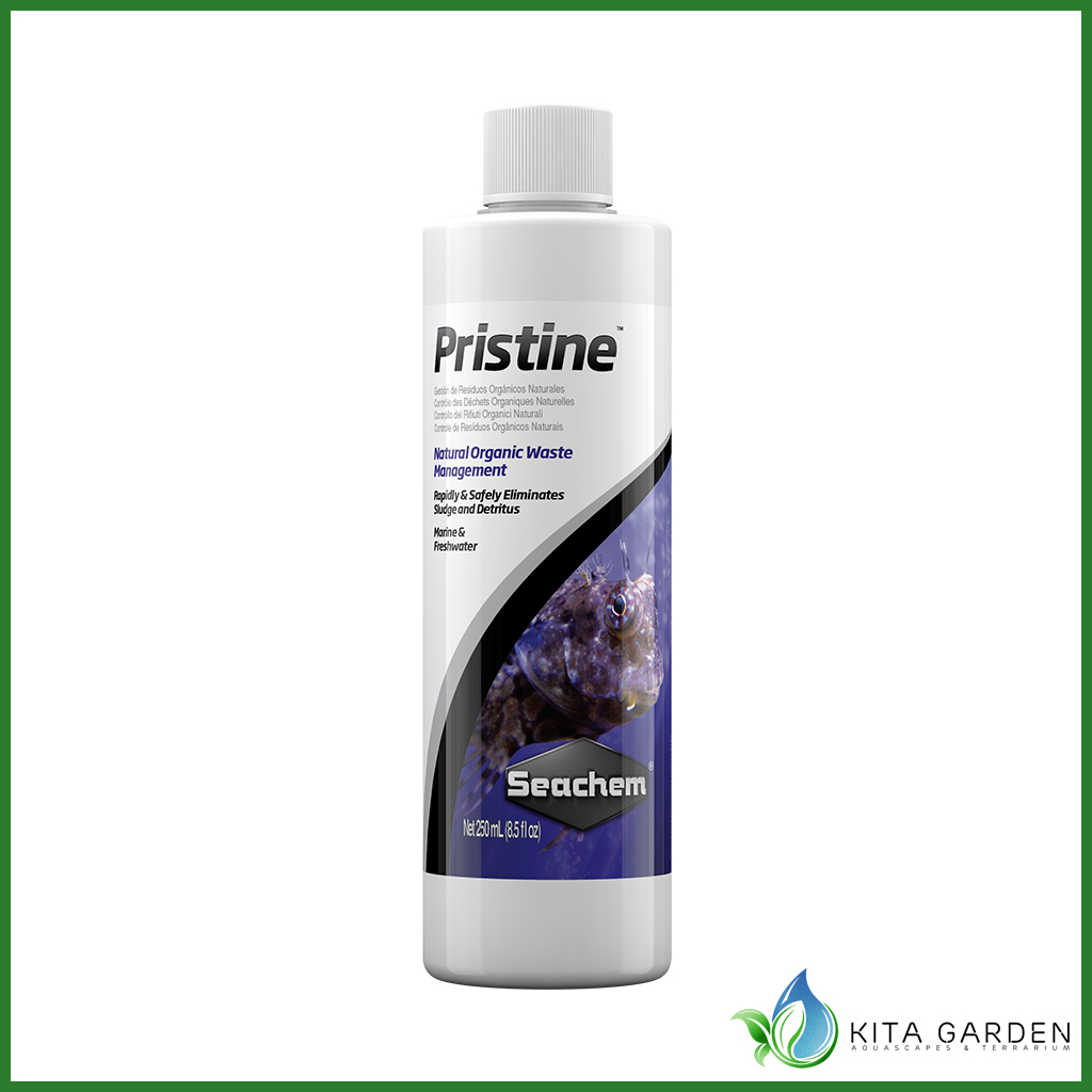 Vi sinh cao cấp xử lý nước seachem pristine - chai 250 ml