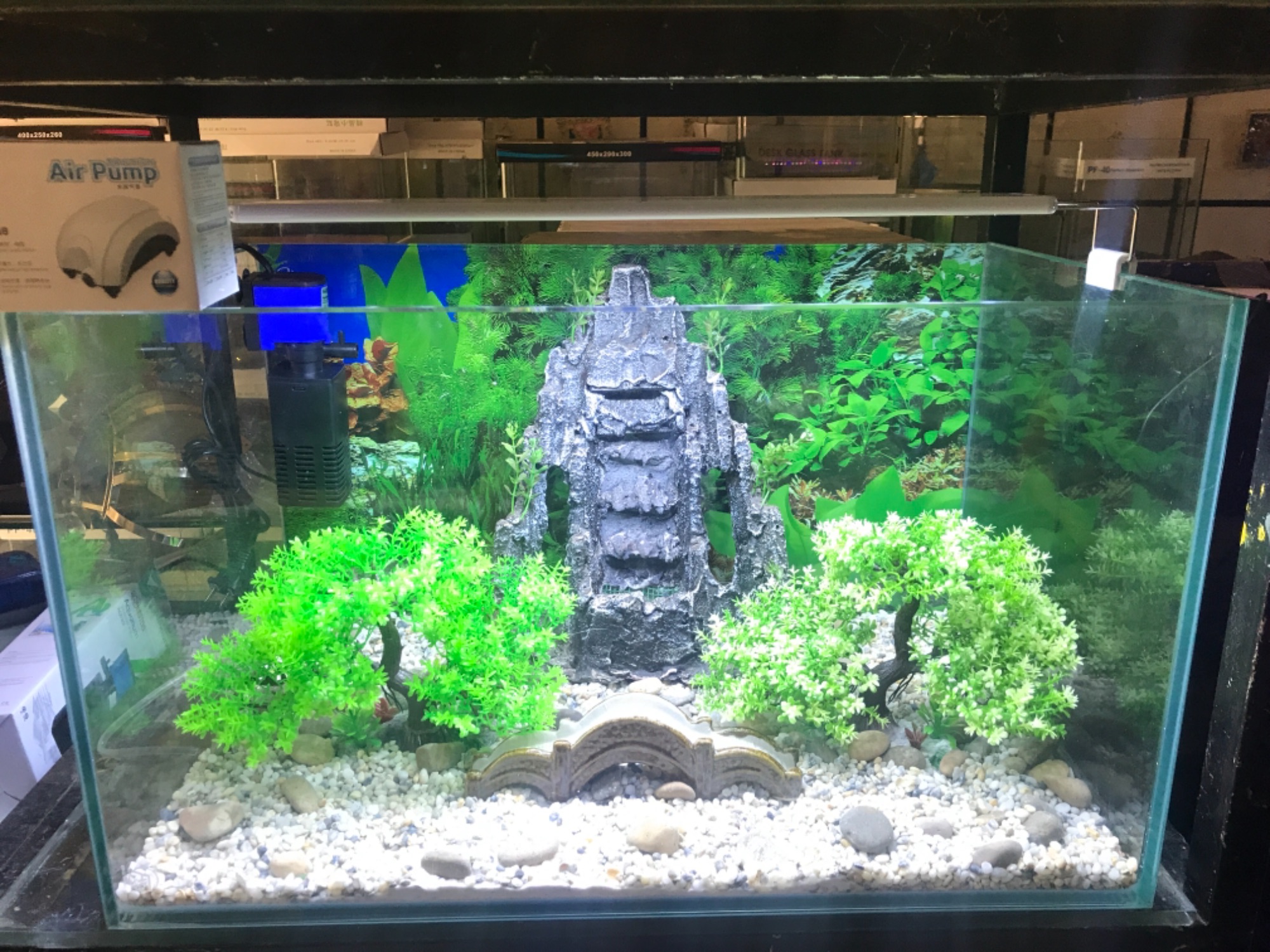 [FreeshipMAX] Combo Hồ cá kính 8 ly cường lực được mài cạnh vi tính dài 60 cao 35 rộng 35cm