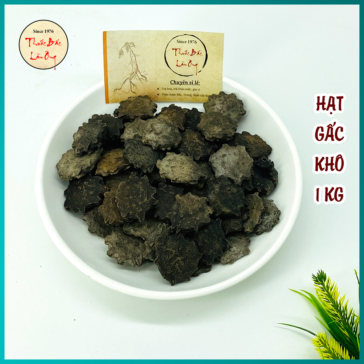 Hạt Gấc Khô 1kg Hỗ Trợ Điều Trị Chấn Thương, Bệnh Trĩ