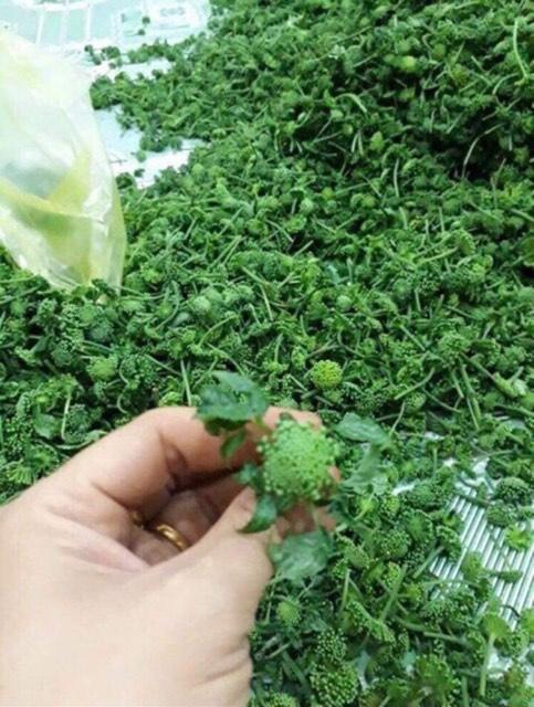 Nụ hoa tam thất khô 500g