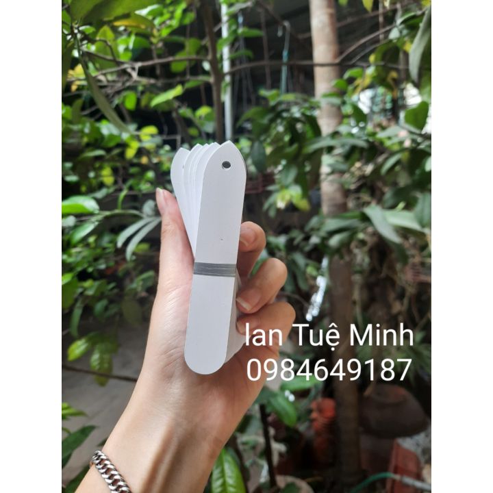 50 Thẻ treo ghi tên cây màu trắng loại đẹp