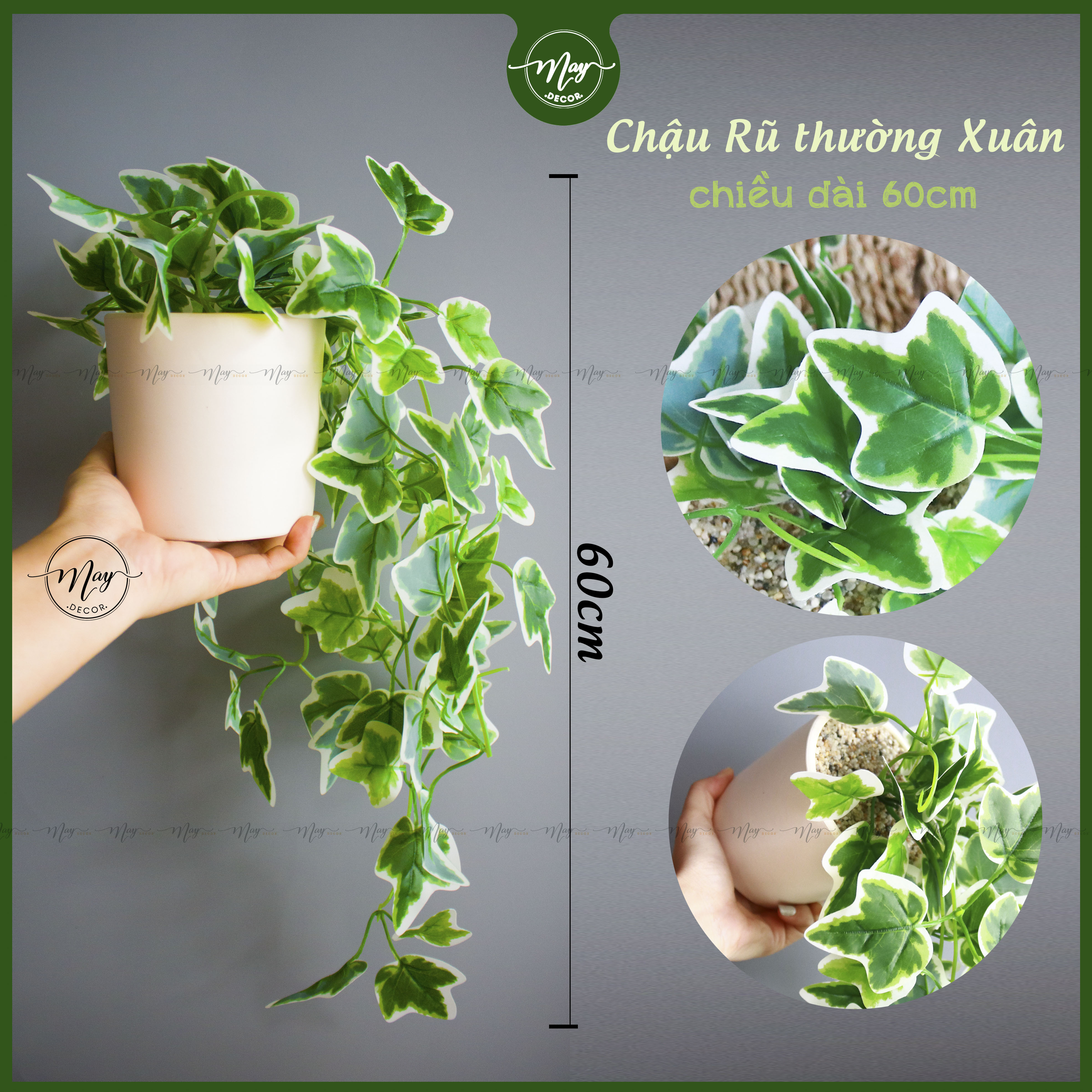 Cây giả lá rũ, dây leo có kèm chậu đất nung, Chậu rũ lá bách diệp, khúc thủy, trầu bà, Cây giả trang
