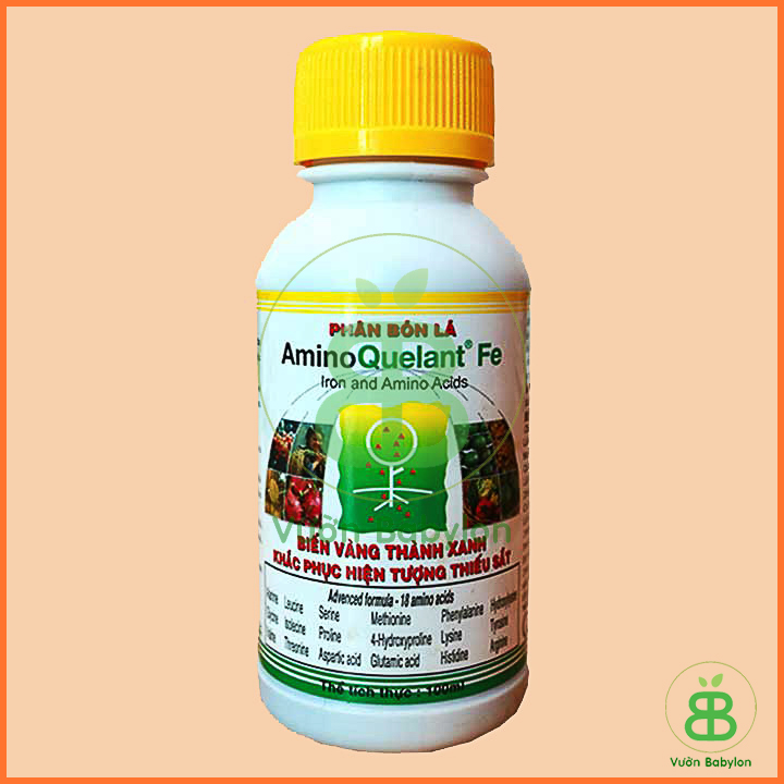 Phân Bón Lá Amino Quelant Fe 100Ml Biến Lá Vàng Thành Xanh