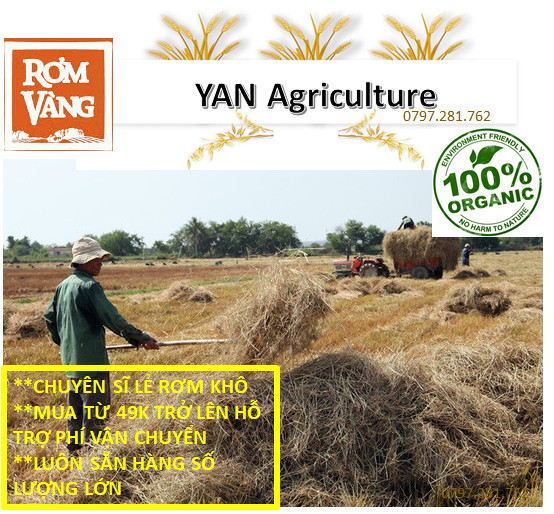 3 KG rơm khô/ BA KÍ rơm khô/rơm khô/rơm khô trồng cây/rơm khô trang trí/rơm khô thay giấy lót quà/rơm khô chống sốc/rơm khô ủ phân/rơm khô trang trí tết , lễ hội và noel/rơm khô nướng cá/rơm trồng nấm/rơm rạ khô/lúa khô/cỏ khô