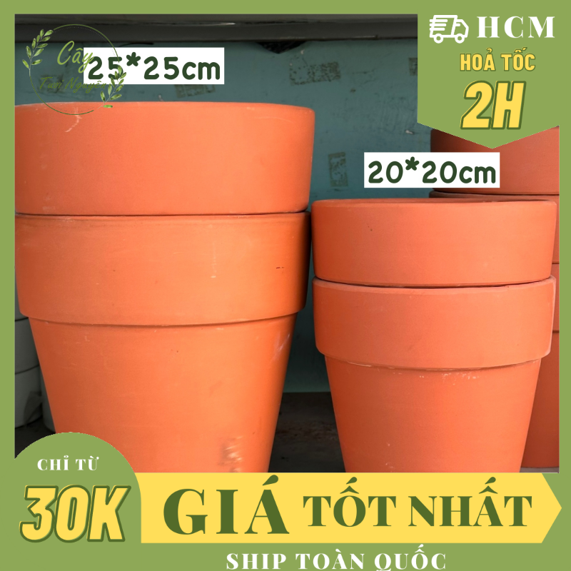 Chậu gờ basic đất nung 20cm, 25cm , đất nung, chậu cây sân vườn, dễ thoát nước tốt cho cây, cây tươi nguyên ctn1458