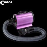 Máy sấy lông chó mèo cp160