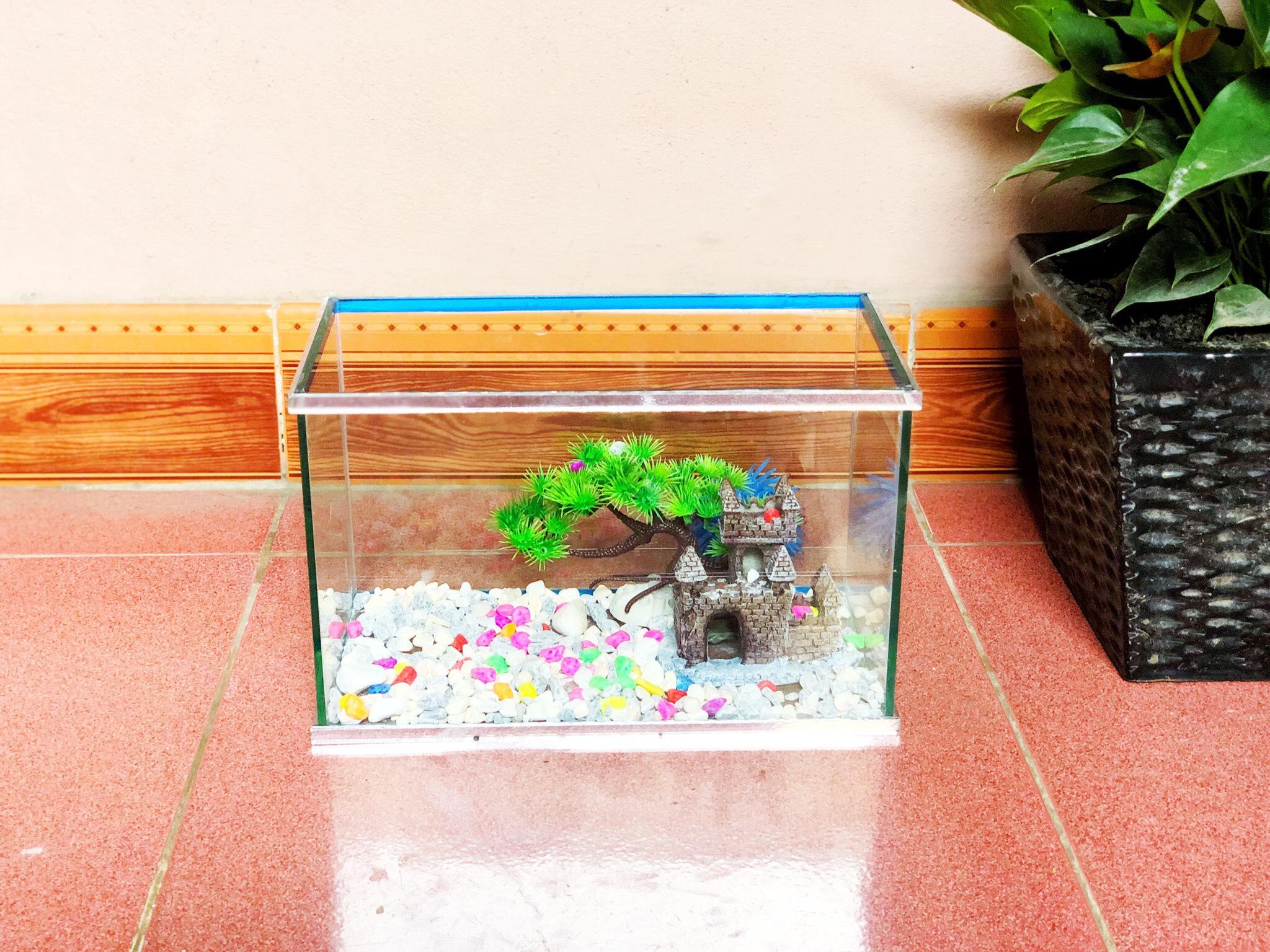 TẾT TẾT TẾT - Bể cá viền gương size 30x15x18cm để bàn trang trí nhà cửa tuyệt đẹp