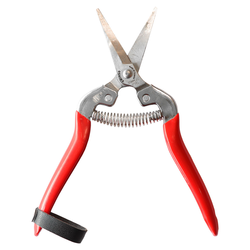 Kéo cắt cành, kéo tỉa cành cầm tay làm vườn Oshima KTC 752 - MADE IN TAIWAN (Đỏ)