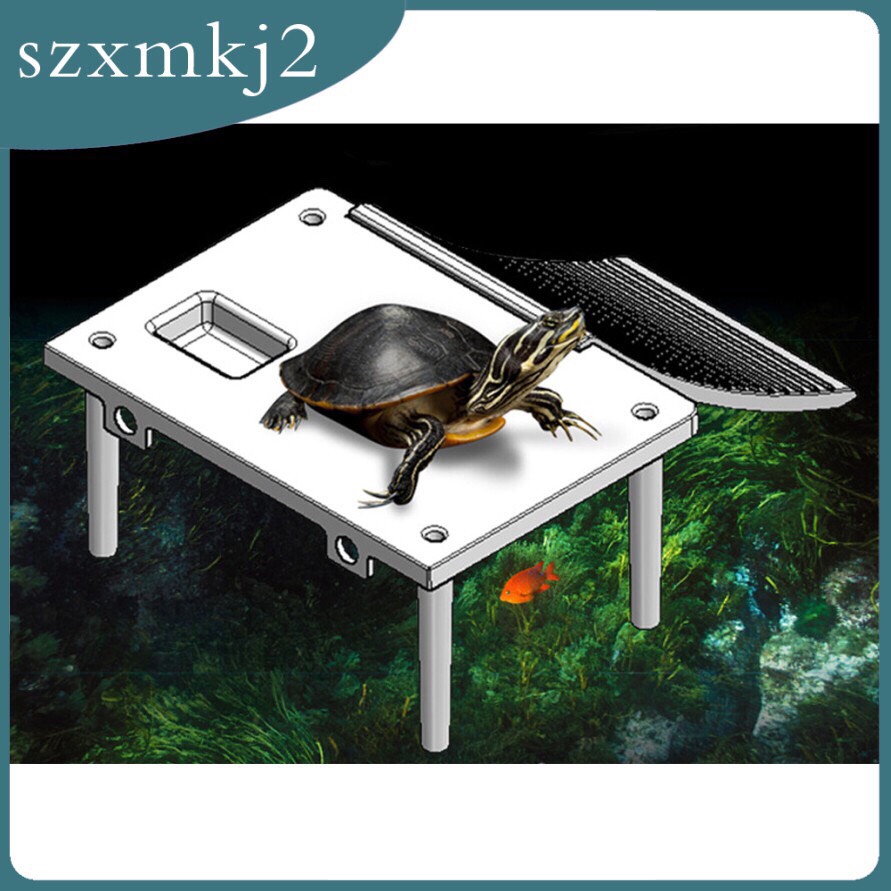 Reptile  - Máng leo cao cấp, máng nhựa cho rùa cảnh, rùa nước, thú cưng, bò sát