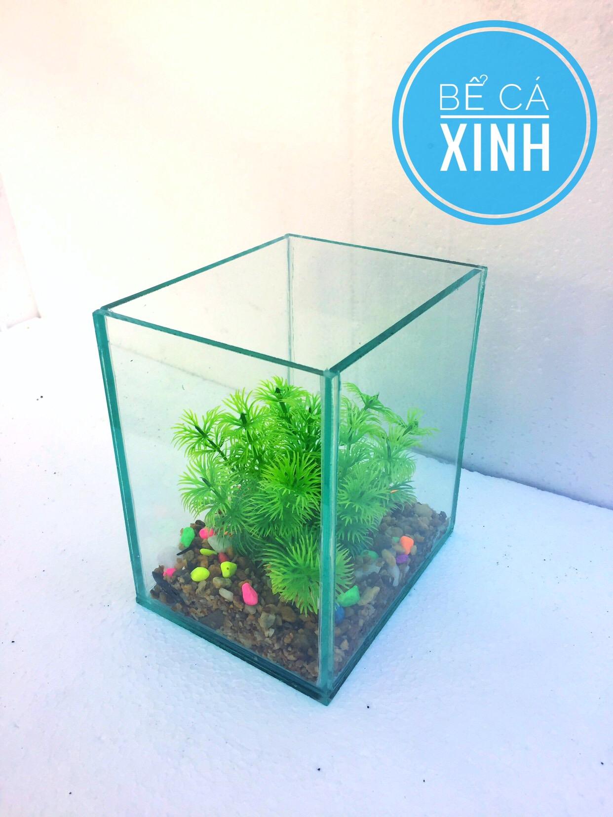 Bể cá mini betta 15*12*17cm DRC ( tặng kèm sỏi và thức ăn)
