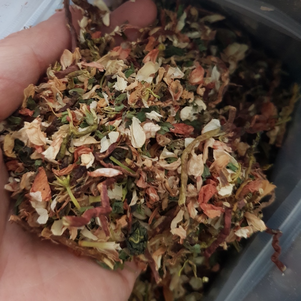Trà sơn mật hồng sâm nhiều nụ - Thanh nhiệt, giải độc, mát gan, ngủ được