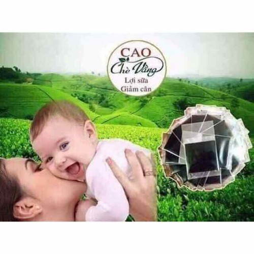 500G-25 LÁ CAO CHÈ VẰNG LỢI SỮA MÁT GAN CÓ GIẤY CHỨNG NHẬN CỦA SỞ Y TẾ