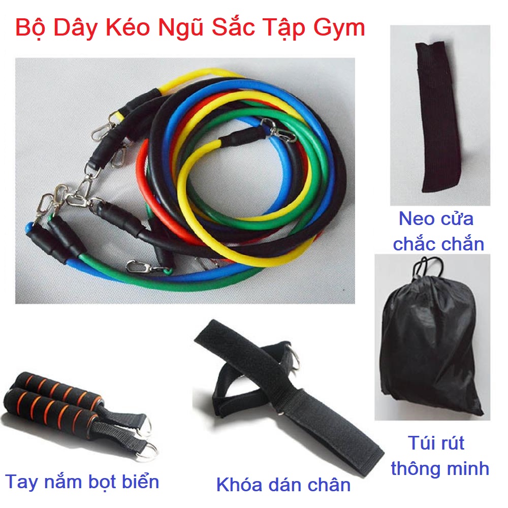 Dây Kháng Lực Đa Năng Dây Tập Gym, Bộ 5 Dây Tập Thể Dục Ngũ Sắc - Chất Liệu Cao Su Bền Dai Độ Đàn Hồi Cao Dễ Tập Luyện - Dụng cụ tập cơ bụng tập gym ở nhà (MÓC SẮT)