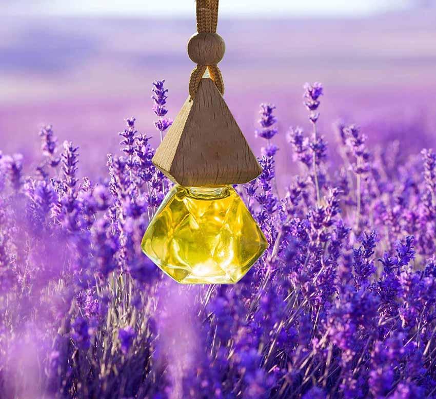 Combo 5 lọ tinh dầu thơm treo xe , treo phòng Hoa Oải Hương - Lavender.