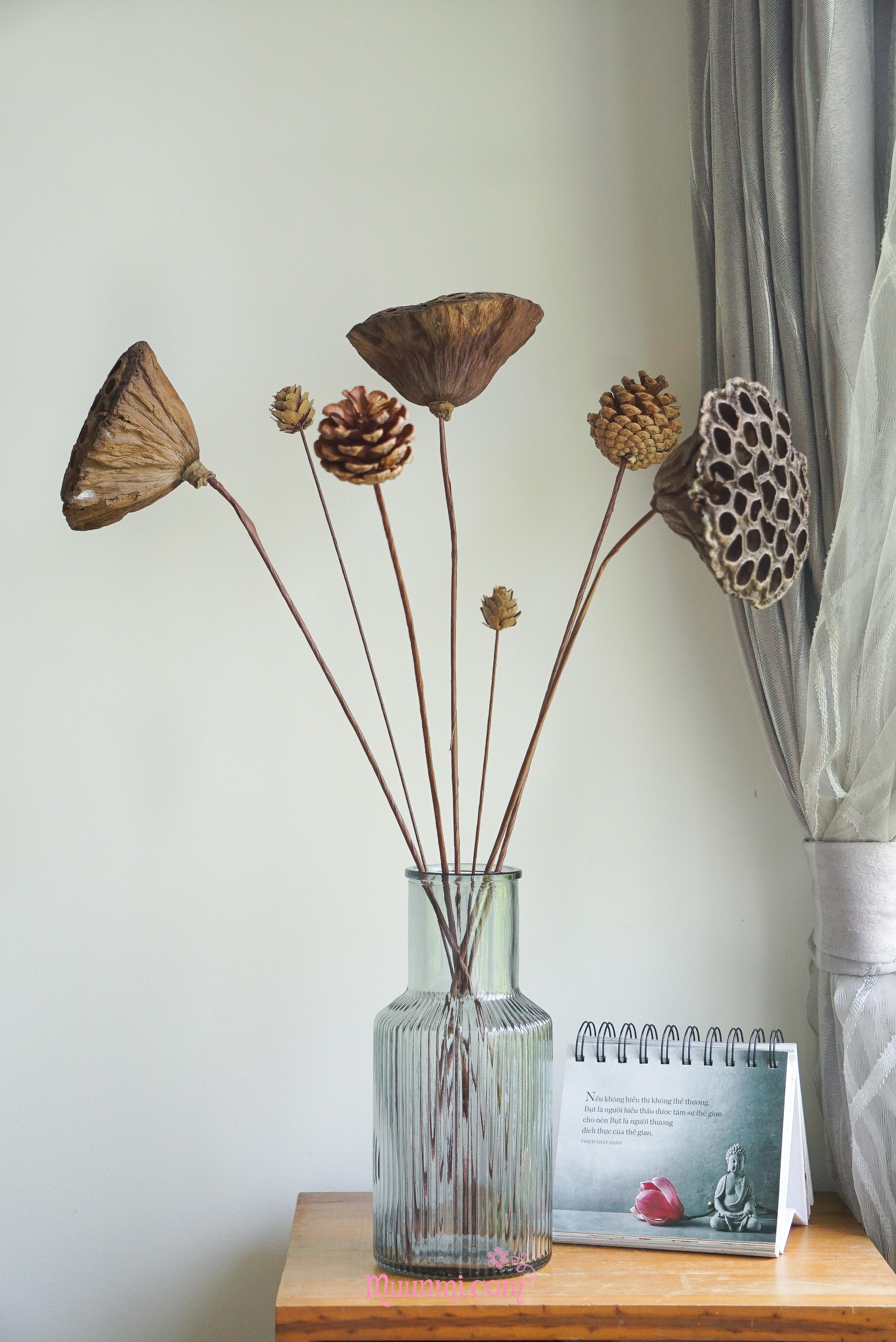 Hoa khô 🍂 | Quả Thông khô trang trí