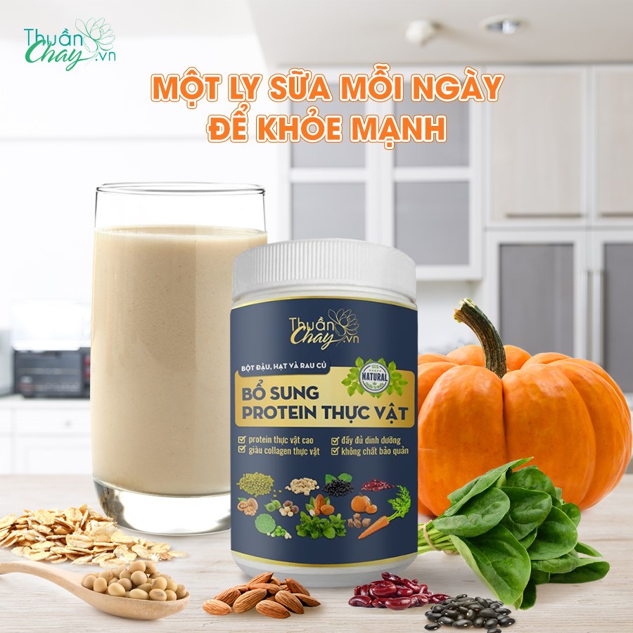 Sữa Thực Vật Thuần Chay Bổ Sung Protein Và Chât Sơ