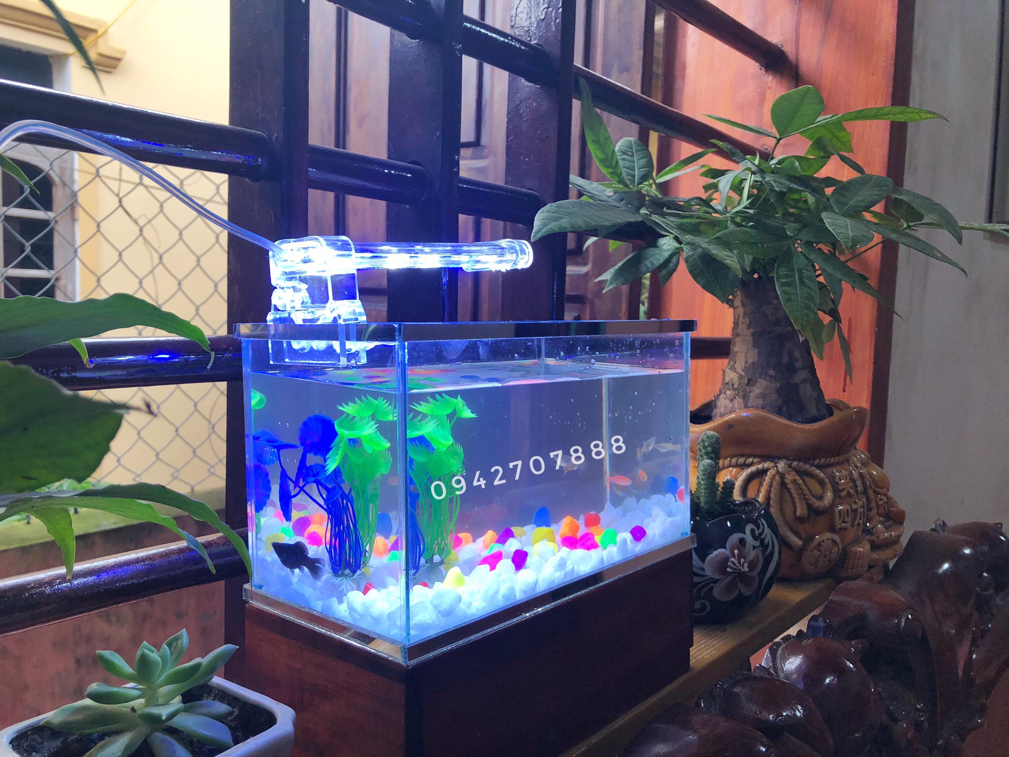 Set bể cá mini 25x13x15cm và đèn led 4w ( tặng cây + sỏi + thức ăn)