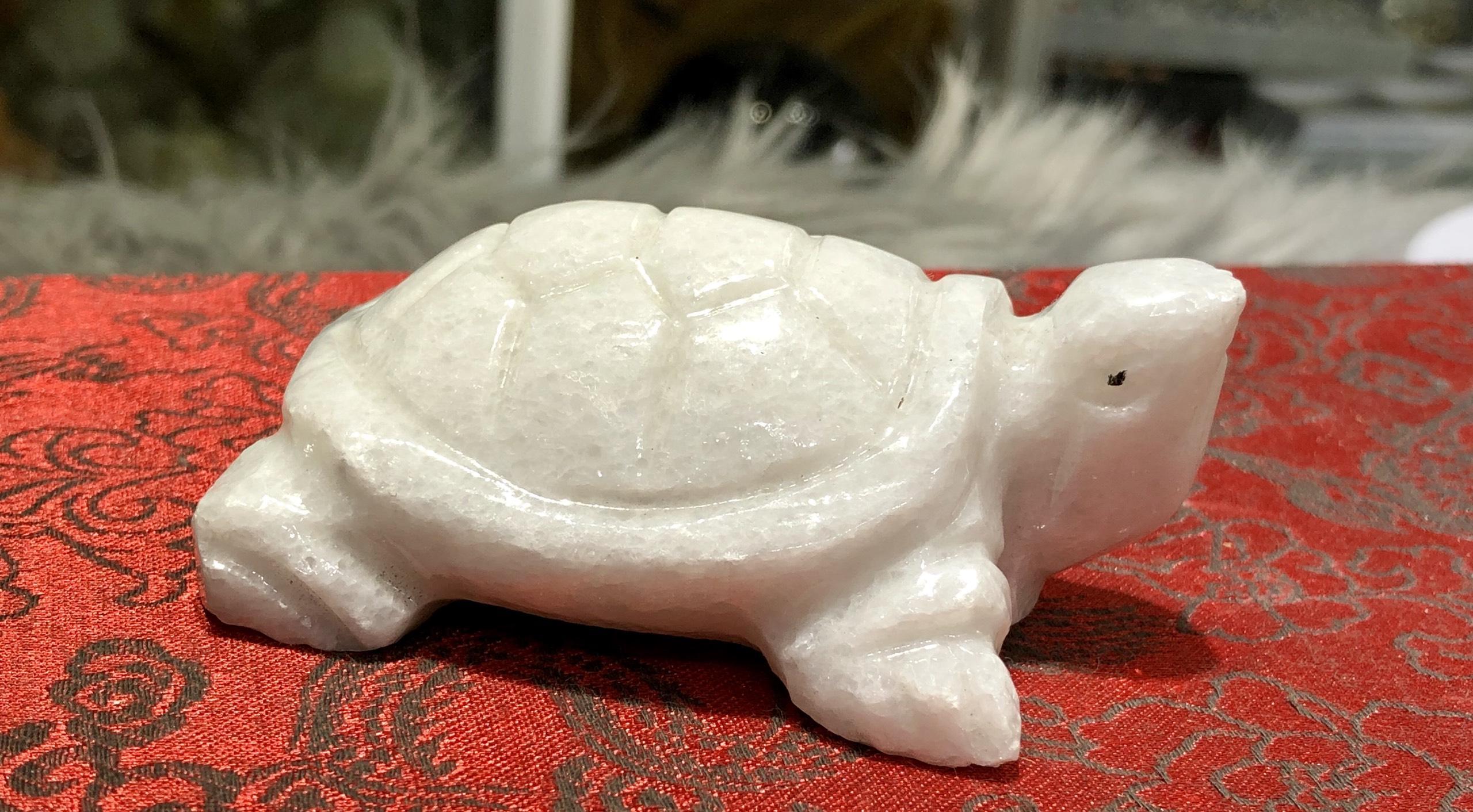 [FreeshipMAX] rùa đá trắng non nước