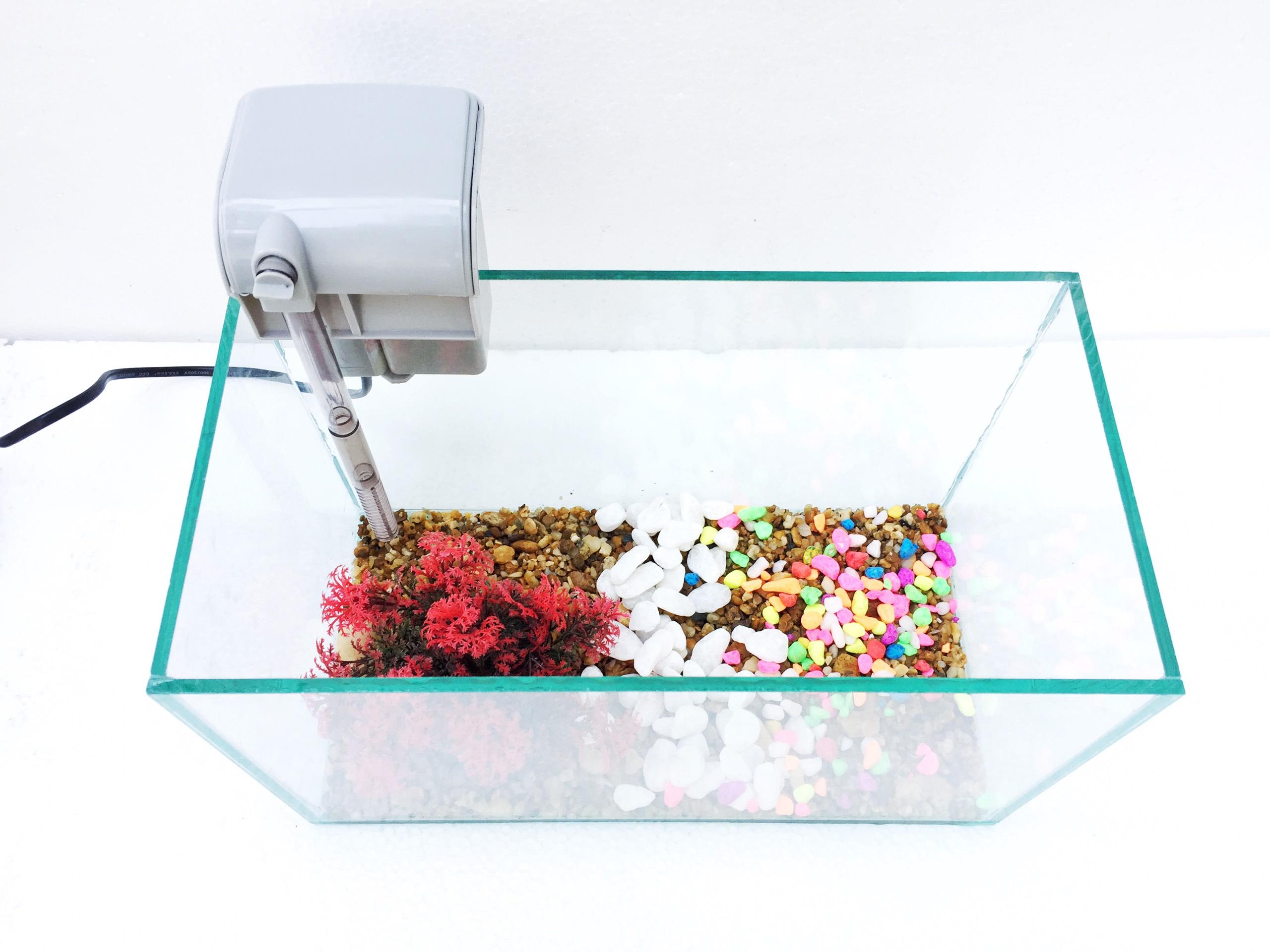 Set bể cá 30x15x15cm +  lọc thác mini ( tặng kèm phụ kiện trang trí hồ cá)