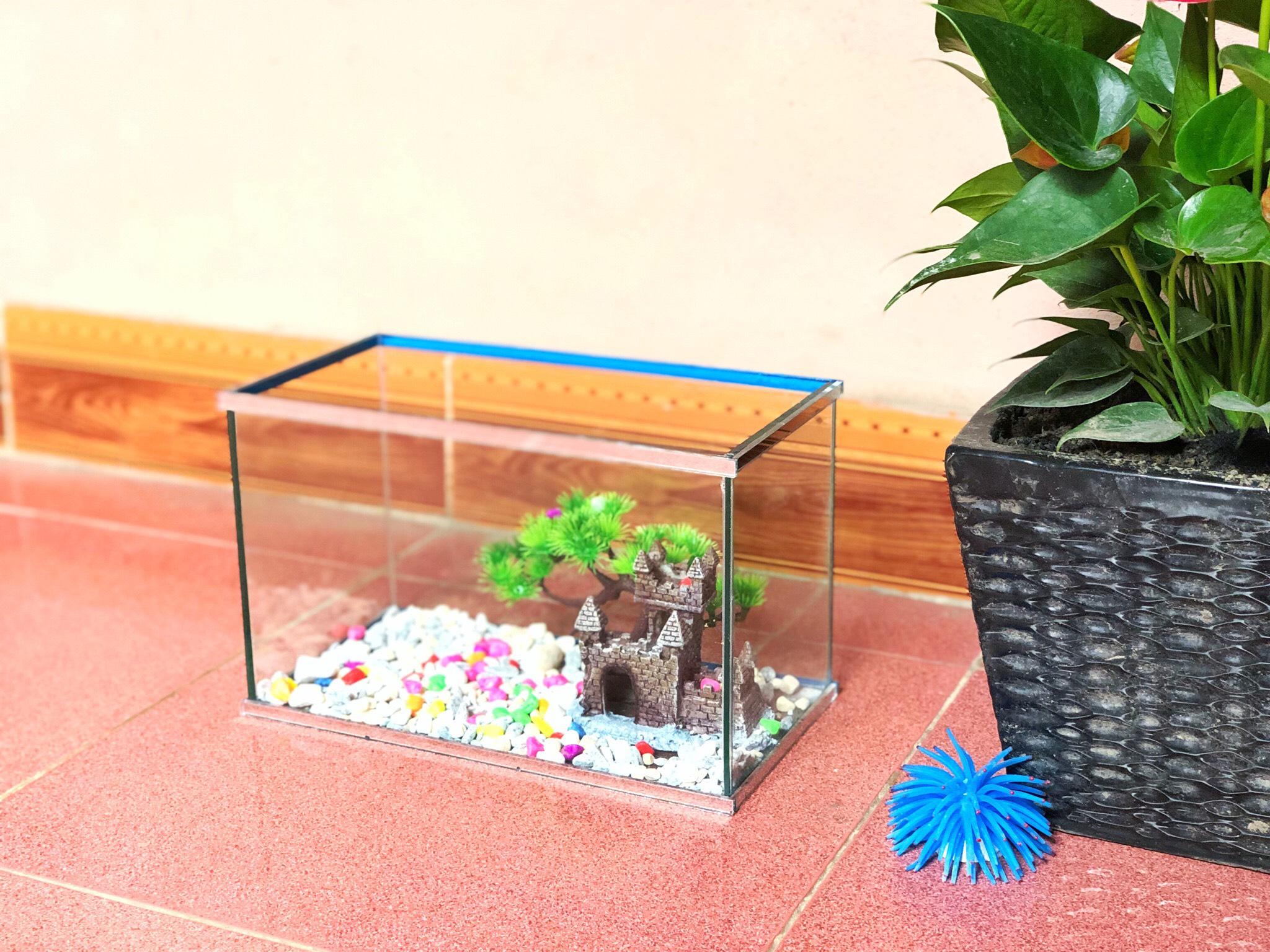 *rbs* Bể cá cảnh viền gương cỡ 30x15x18cm DRC