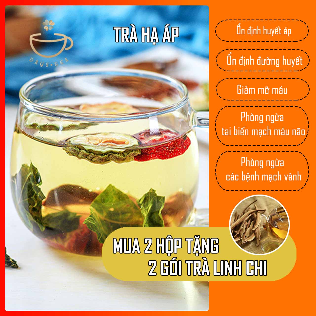 TRÀ HẠ ÁP Hộp 10 gói - GIÚP ỔN ĐỊNH HUYẾT ÁP, ĐƯỜNG HUYẾT, GIẢM MỠ MÁU, PHÒNG NGỪA TAI BIẾN - MUA 2 HỘP TẶNG 2 GÓI TRÀ LINH CHI- TRÀ THẢO MỘC DAYSTEA