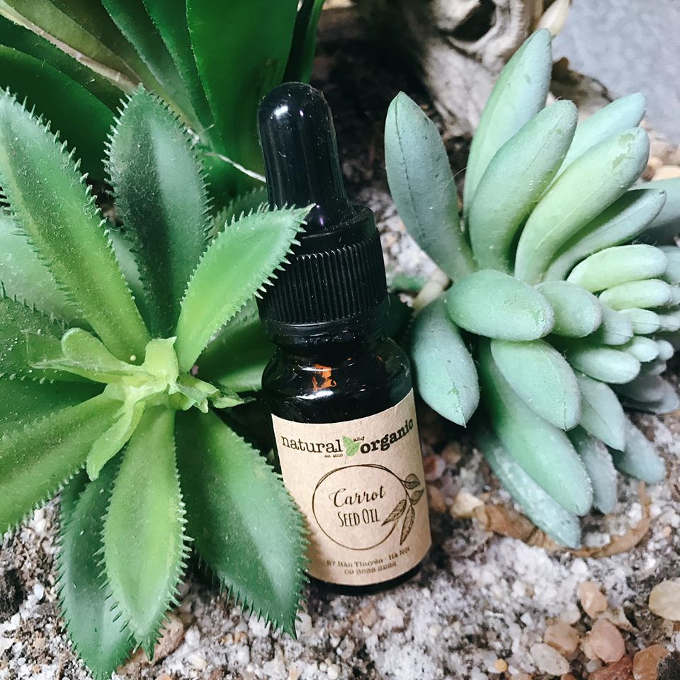 Dầu thầu dầu Castor oil Mointain Rose Herbs