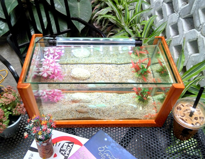 rbs Bể cá mini khung gỗ cỡ lớn 40cm để bàn - tuyệt tác trên bàn làm việc của bạn