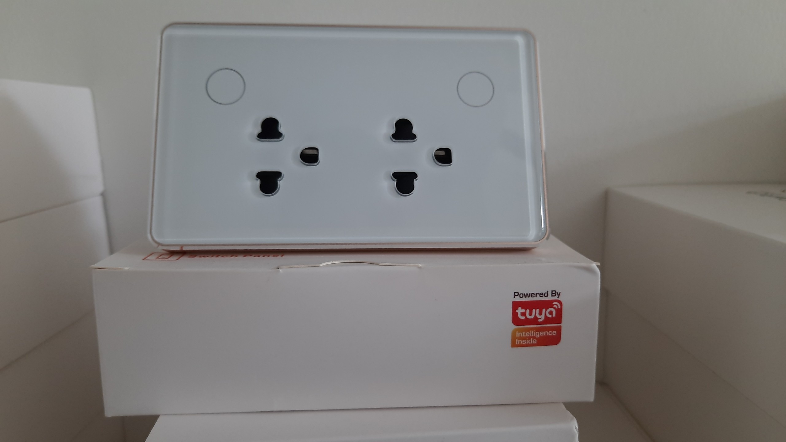 Ổ cắm âm tường thông minh Tuya Zigbee (Viền Nhôm)