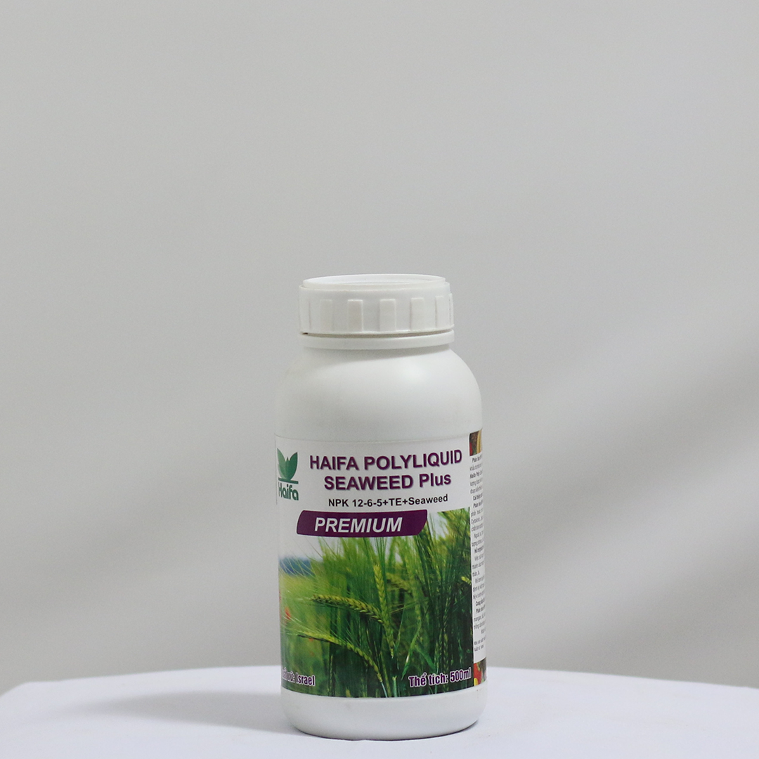 Haifa poly rong biển 12-6-5+te - phân bón lá hữu cơ rong biển - nuôi cây con - nhập khẩu israel