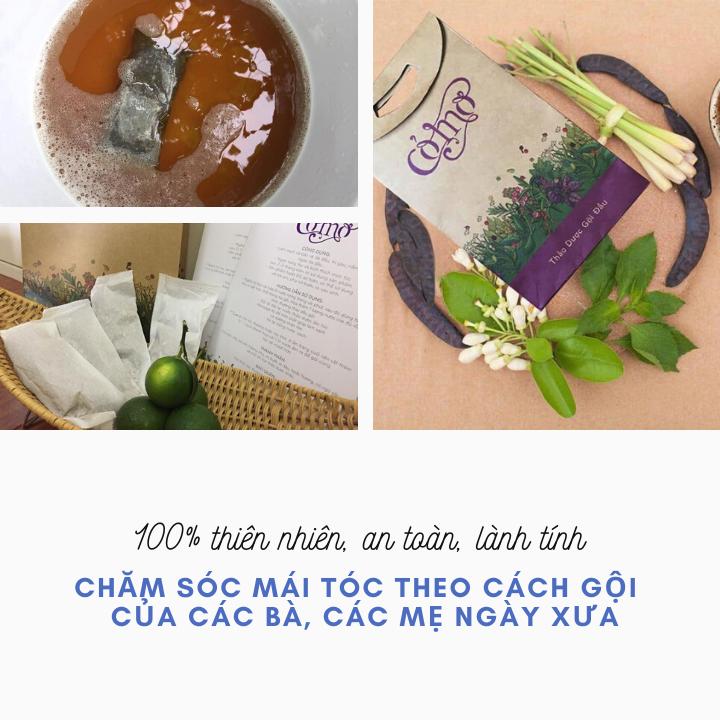 COMBO 2 Bồ kết túi lọc gội đầu- bồ kết gội đầu- thảo được gội đầu Cỏ mơ (40 túi lọc cho 40 lần gội)