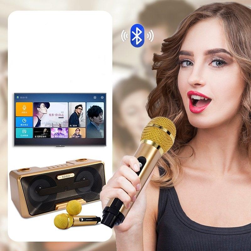 [HCM]Am thanh Gian karaoke mini Loa mic khong day - Loa Karaoke Bluetooth SD 301 Tặng Kèm 2 Mic Cao Cấp Cực Kỳ Tiện Dụng Chất Lượng Âm Thanh Trong Trẻo - Mã BH 1
