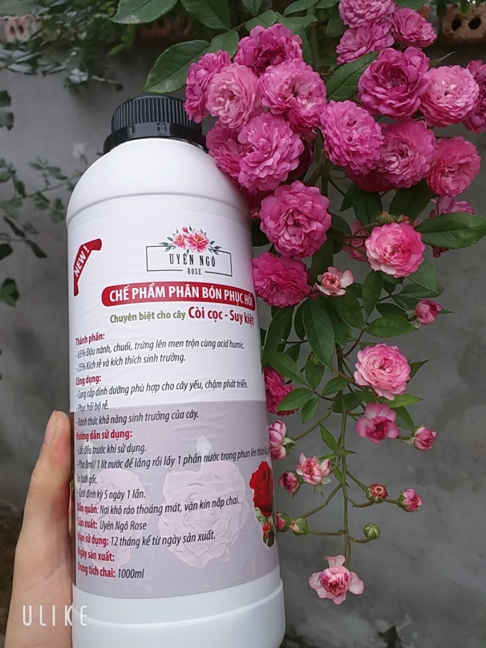 Chế phẩm cho hoa hồng loại phục hồi