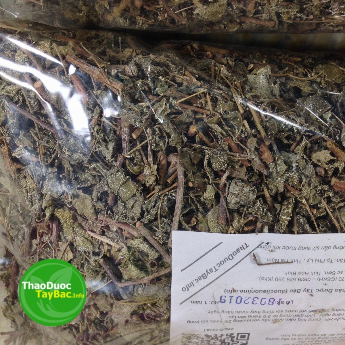 Trà Dây Diệt Vi Khuẩn Hp