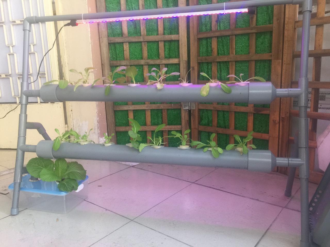 Giàn trồng rau thủy canh hồi lưu 2 tầng