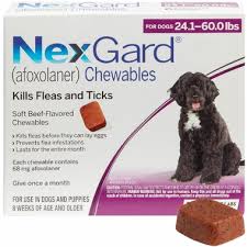 Viên nhai nexgard về ve, rận, ghẻ, nấm cho chó 10-25kg một viên
