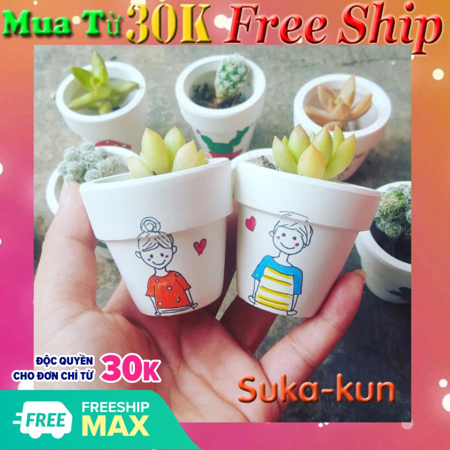 Combo 02 chậu sen đá mini đôi trai gái